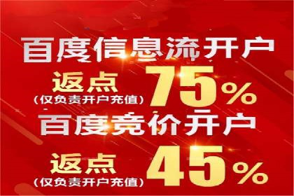 网络推广中的竞价广告：成功案例解析